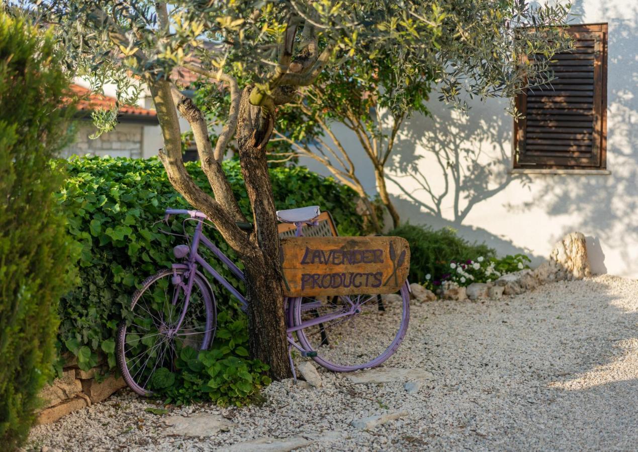 Lavanda Apartments & Room Sveti Lovreč Pazenatički 外观 照片